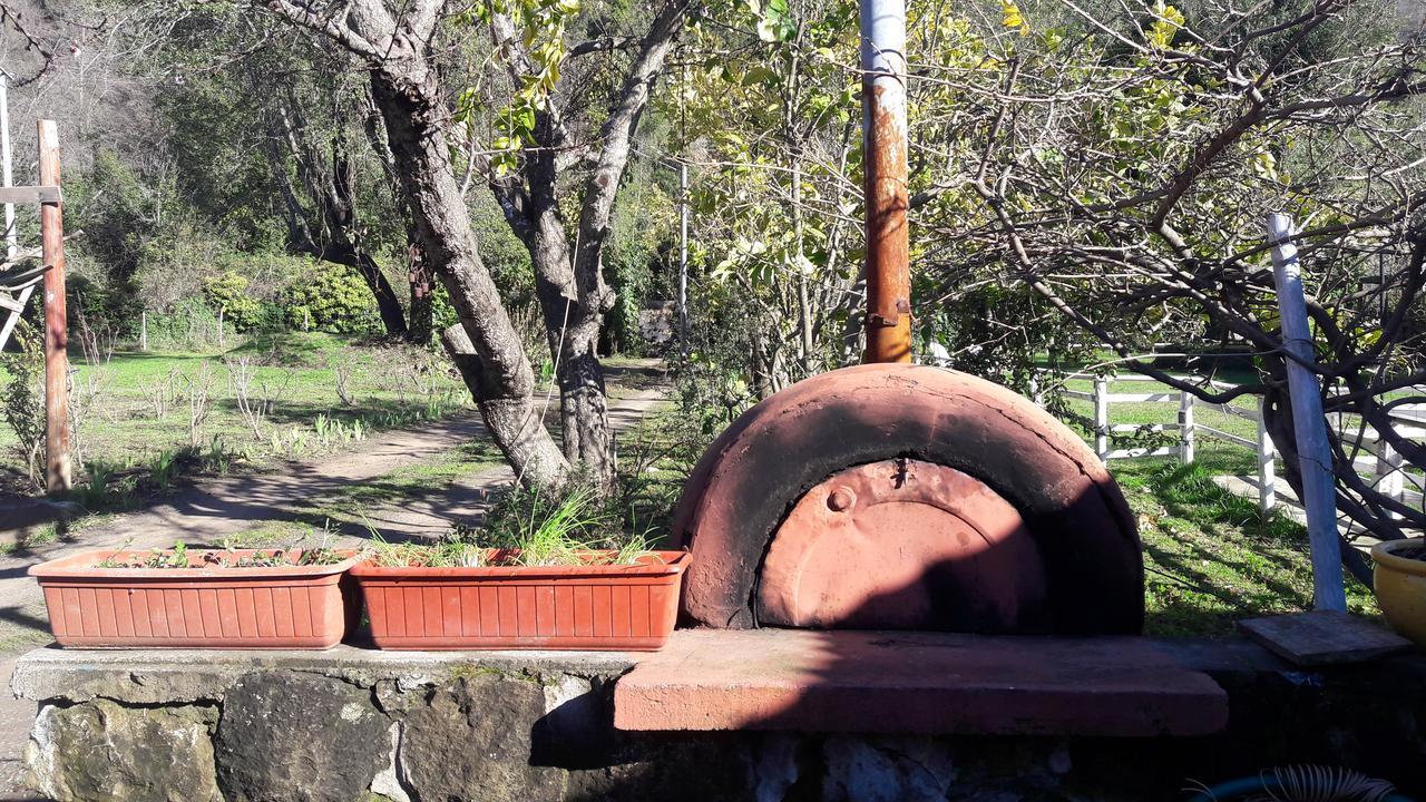 El Fogon De Rio Claro Ξενοδοχείο Εξωτερικό φωτογραφία