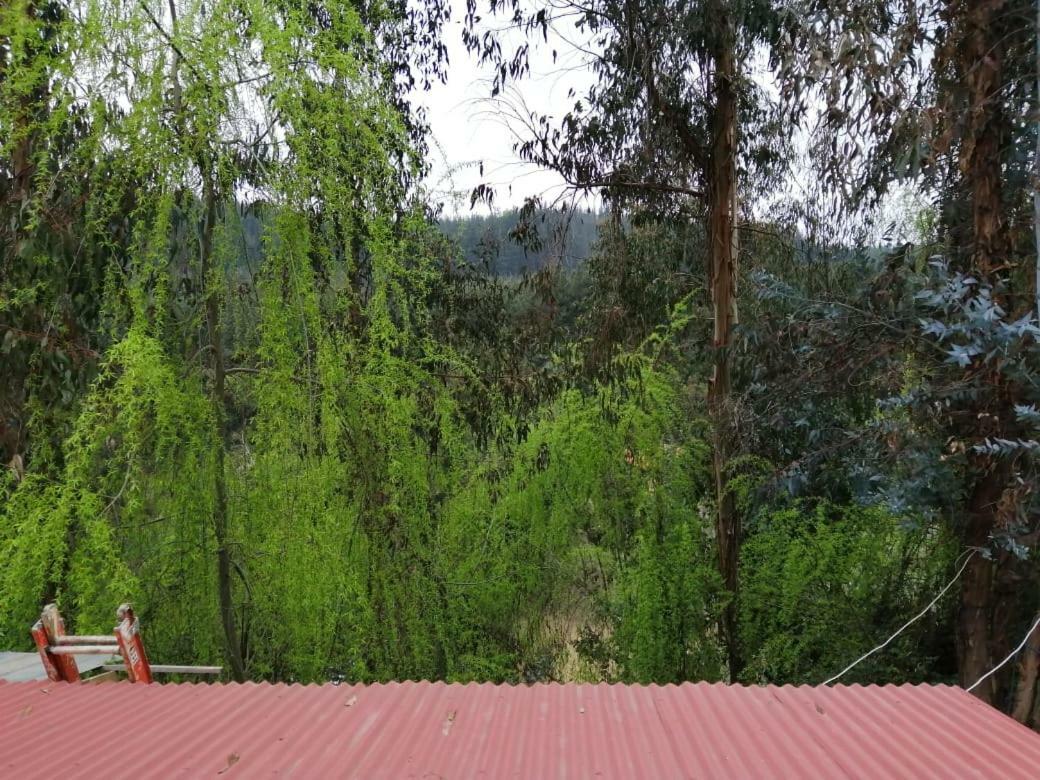 El Fogon De Rio Claro Ξενοδοχείο Εξωτερικό φωτογραφία