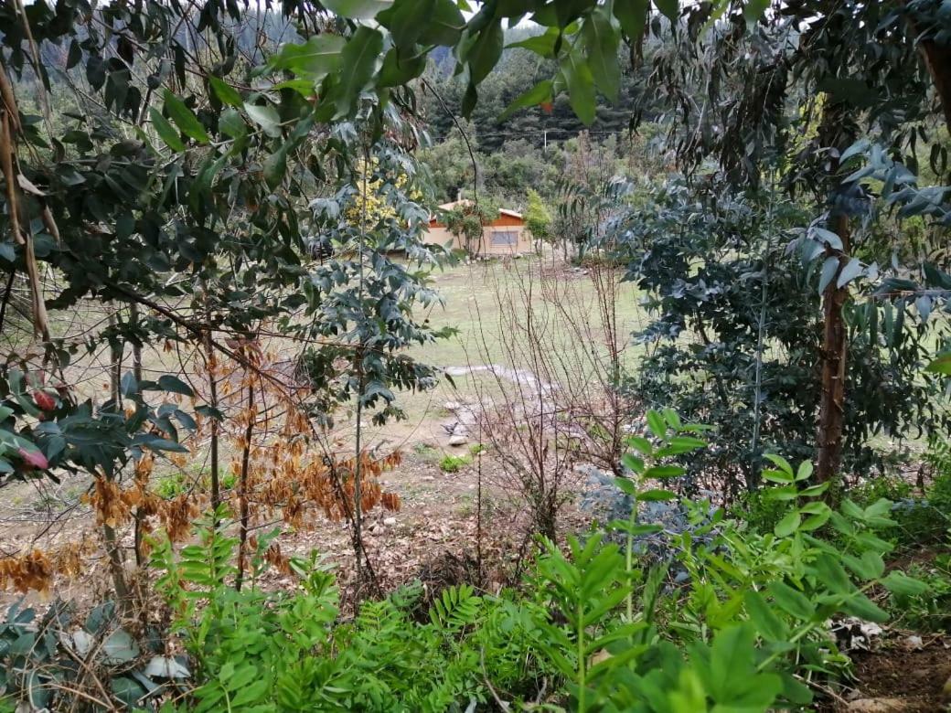 El Fogon De Rio Claro Ξενοδοχείο Εξωτερικό φωτογραφία